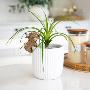 Saddle & Bloom Highland Cow Pot Hangers