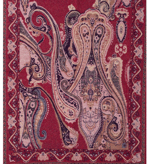 #Paisley Knitted Winter Scarf