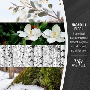 Magnolia Birch