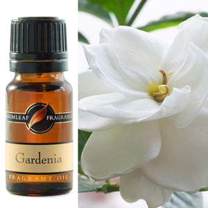 GUMLEAF FRAGRANT OIL 10ML - GRADENIA