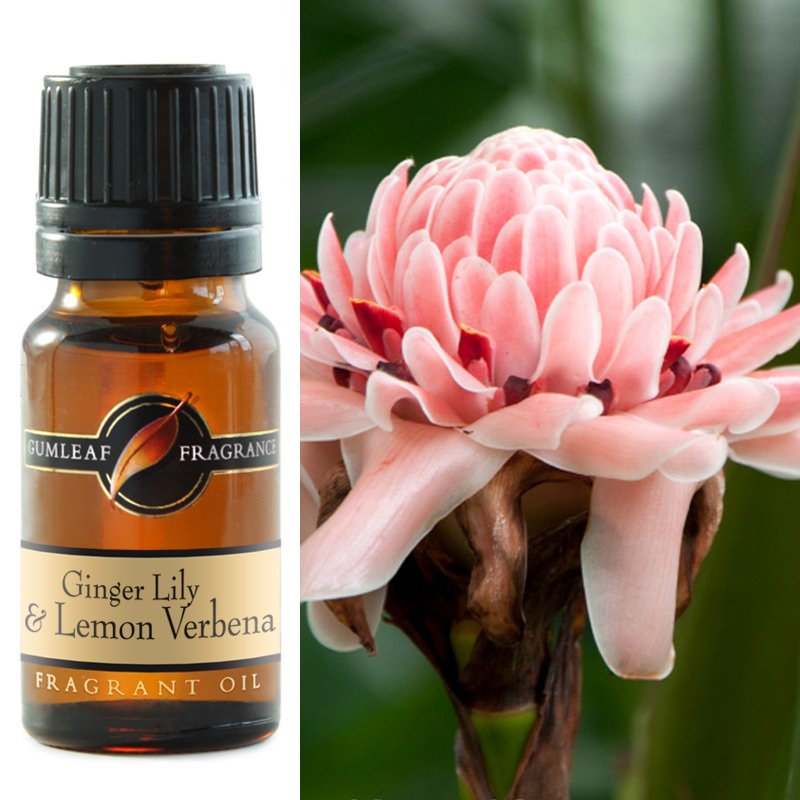GUMLEAF FRAGRANT OIL 10ML - GINGER LILY AND LEMON VERBENA