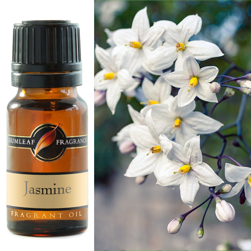 GUMLEAF FRAGRANT OIL 10ML - JASMINE