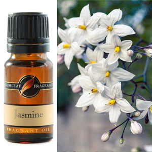 GUMLEAF FRAGRANT OIL 10ML - JASMINE