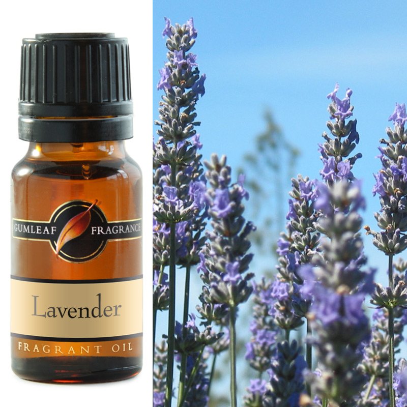 GUMLEAF FRAGRANT OIL 10ML - LAVENDER