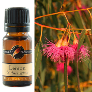 GUMLEAF FRAGRANT OIL 10ML - LEMON AND EUCALYPTUS