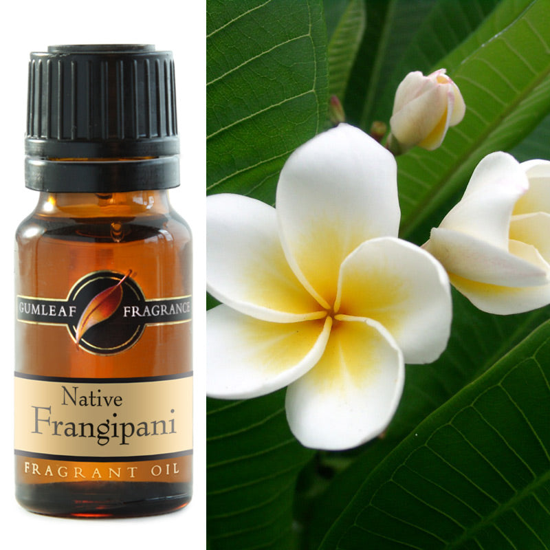 GUMLEAF FRAGRANT OIL 10ML - FRANGIPANI