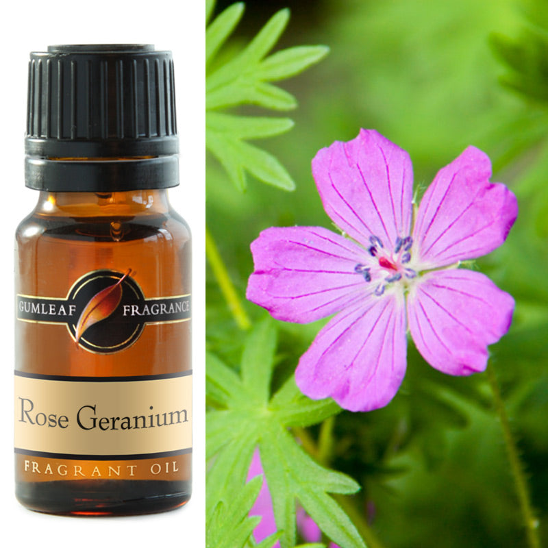 GUMLF FRAGRANT OIL - ROSE GERANIUM