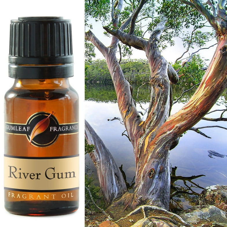 GUMLEAF FRAGRANT OIL 10ML - RIVER GUM